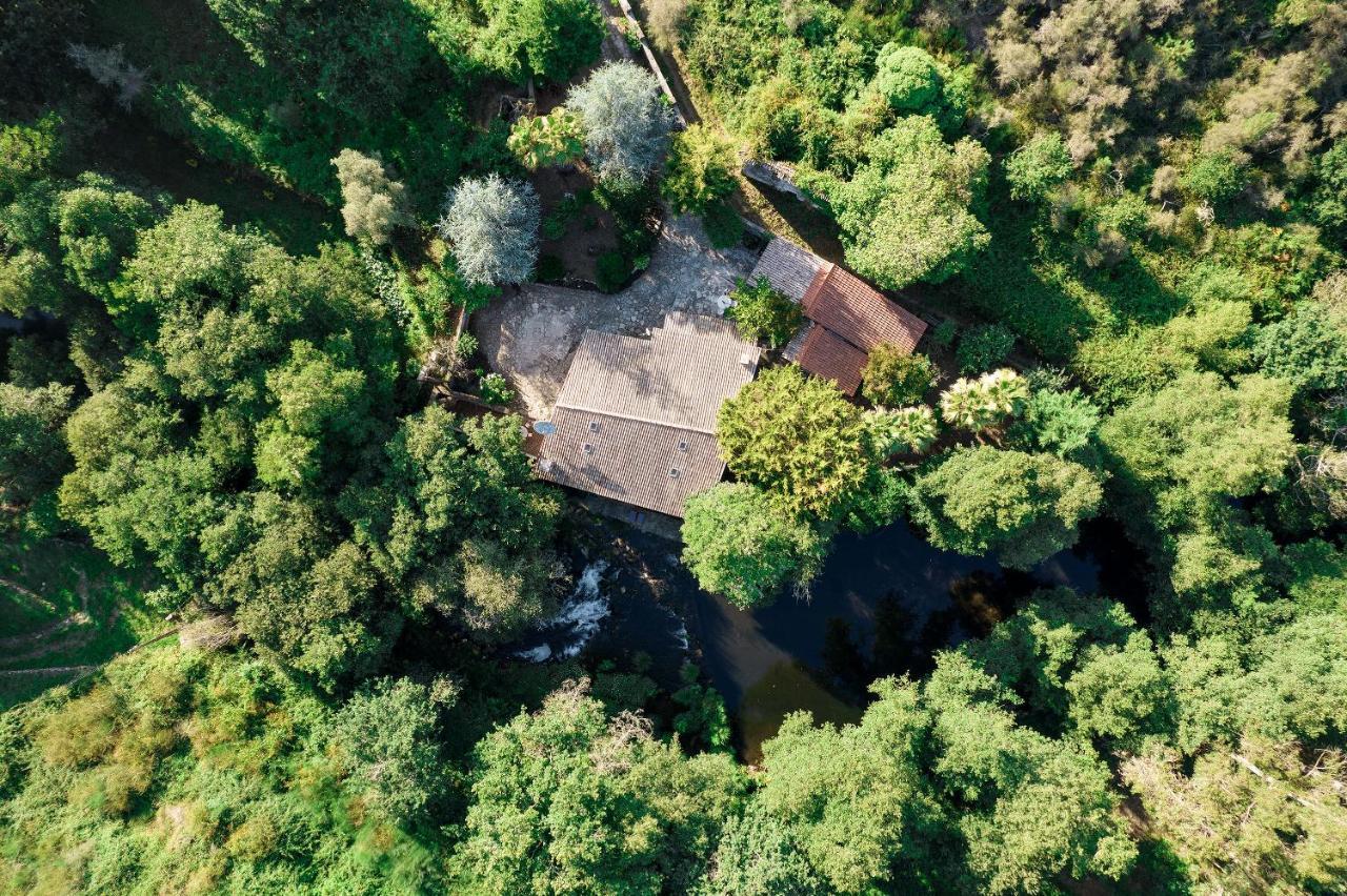 Neiva River House - Azenha Next To The River إسبونسيندي المظهر الخارجي الصورة
